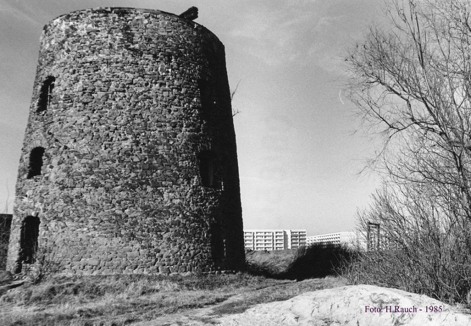Die Ruine der Düppler Mühle im Jahr 1985